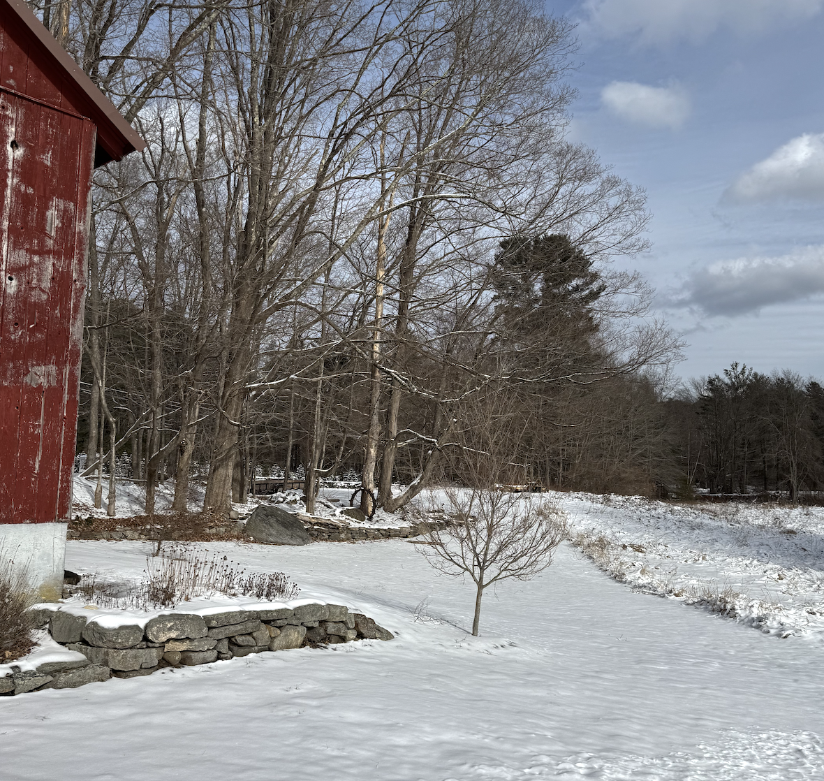 Designing An Orchard for a (Semi) Self Sufficient Homestead